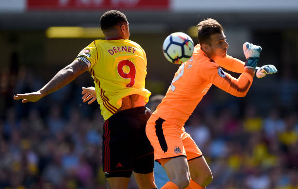 保护动物 保护动物