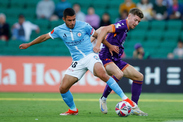 向李金羽 向李金羽